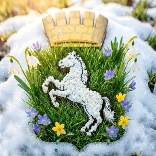 Мэрия Томска