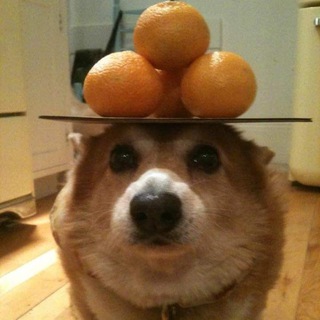 🍊 Один из сотен Crypto-каналов в твоей ленте