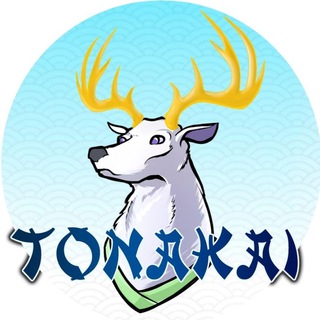 Tonakai молодежный фестиваль