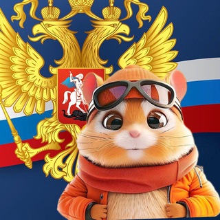 Хамстер Комбат шифр читы баги комбо вывод листинг