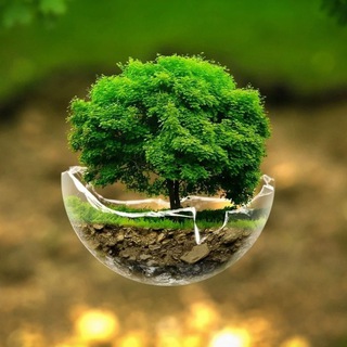 Удивительный Мир🏝️