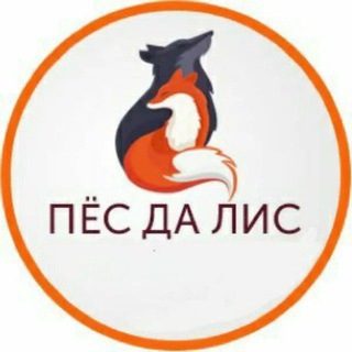 ТОП КАЗИНО 🔝