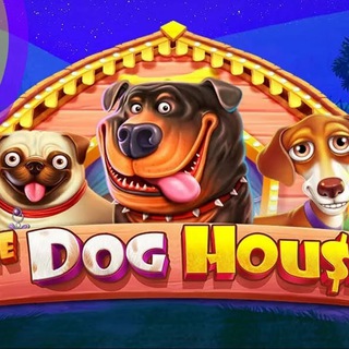 БОНУСЫ КАЗИНО 🎁