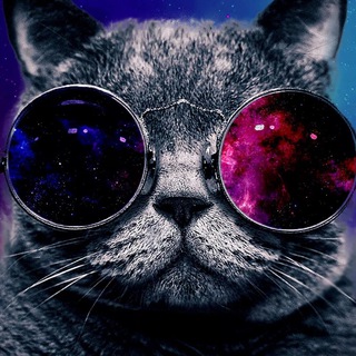 топ фото и видео