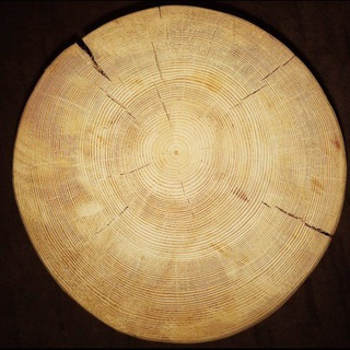 ©Деревянные дома и усадьбы| Истьба