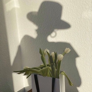 Topsumki.msk | Весь ассортимент