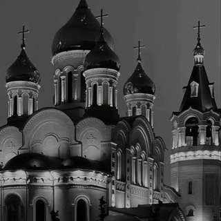 Скуп Dogs куплю догс,покупаю хамстер комбат