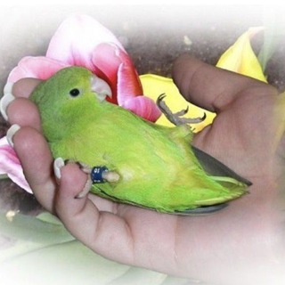 Toru вот теперь рил архив 💀👻