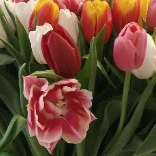 Законы счастливой жизни