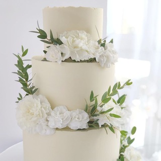 𝒕𝒐𝒓𝒕𝒐𝒅𝒆𝒍𝒖𝒔𝒄𝒉𝒌𝒂_1