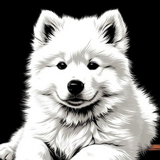 Тотошка ТОПтошка