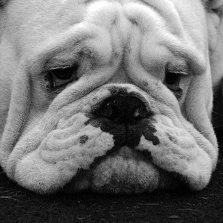 Сидим грустим