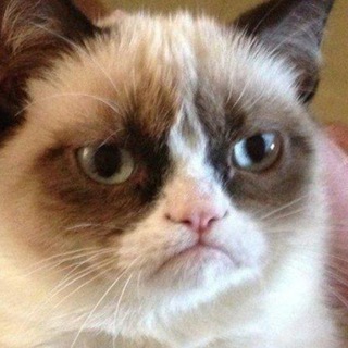 Тоцкое и Тоцкое-2 Объявления из ВК