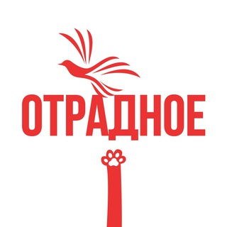 Касается Отрадного