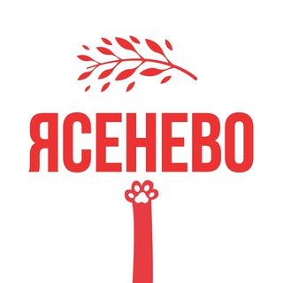 Касается Ясенево