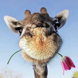 Travel -туры по всему миру🌏