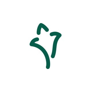 Комитет по развитию туризма Казани