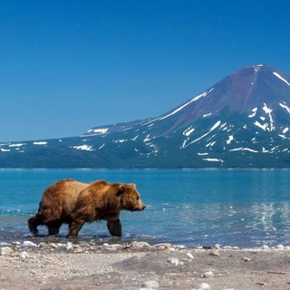 РОССИЯ | Туризм