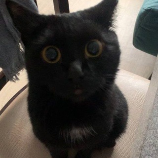 Клуб счастливчиков