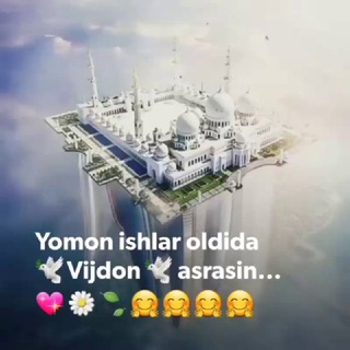 ⭐Toviq Bozori⭐ toviq ishqibozlari🐓