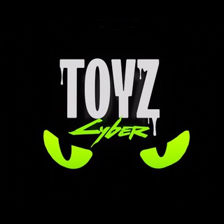 TOYZ CYBER