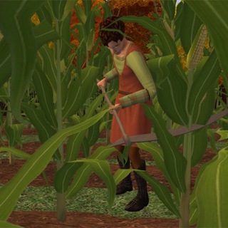 природа прекрасна