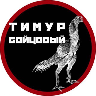 ТИМУР БОЙЦОВЫЙ