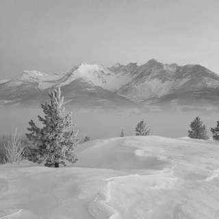 🌌чат трейды продажа🌌