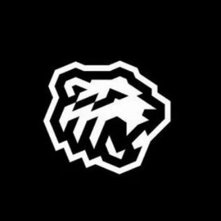 «Хоккейный город Челябинск».