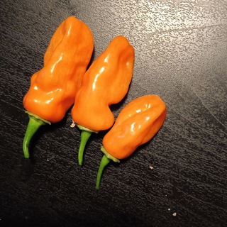 Перевод продуктов