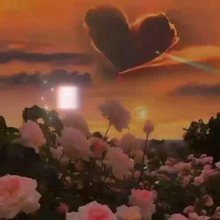 Позитивный сплетник ツ