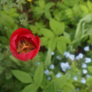 Травы и женская красота.❤️