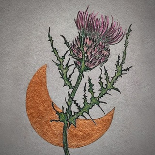 Трава и Луна