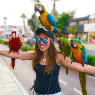 Путешествия от Элли