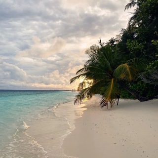 Путешествие • Без Границ 🌏