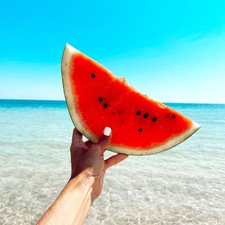 Вкус путешествий | Россия и мир