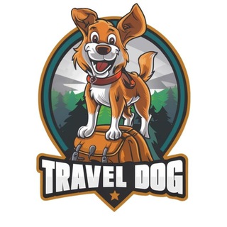 Travel Dog