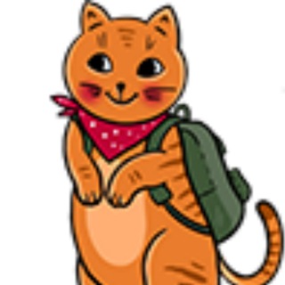 Путешествия для экономных Котиков от VeniVidi.ru