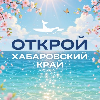 Туристский информационный центр. Открой Хабаровский край