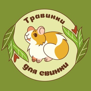 травинки для свинки🌾 | сено и засушка