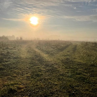 Травкино-Муравкино 🌿🏠🐕