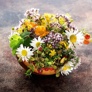 Травушка. Травы их свойства и применения