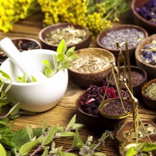 Травы / Здоровье / Народная Медицина