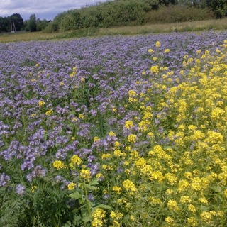 Кладовая здоровья