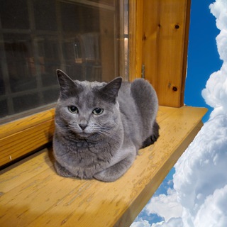 TRENDY BOX Санкт-Петербург