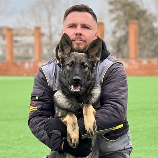 trenersobak | всё о собаках