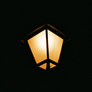 Плённики