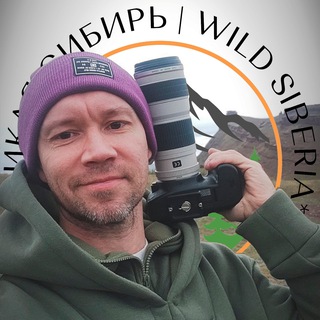 Дикая Сибирь | Wild Siberia