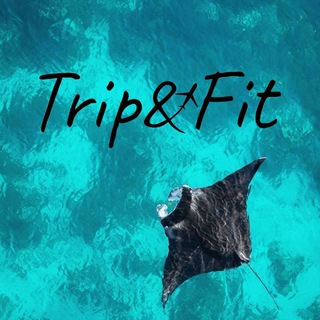 Путешествия по всему миру