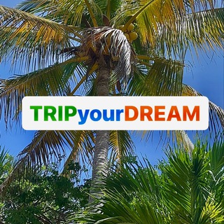 🌴TRIPyourDREAM🌴курорты|новости|travel|турагентство| туры